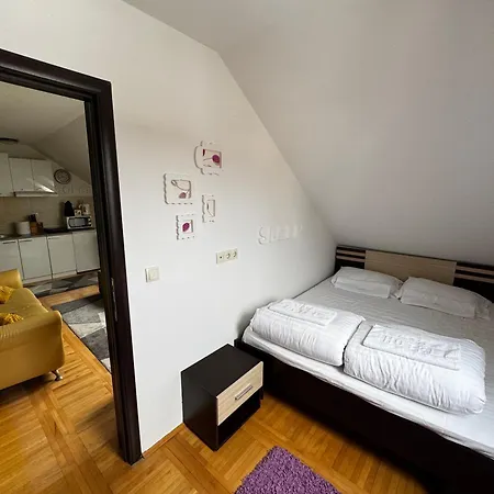 Meri In Kraljevi Cardaci *